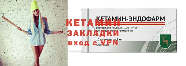 крисы Козельск