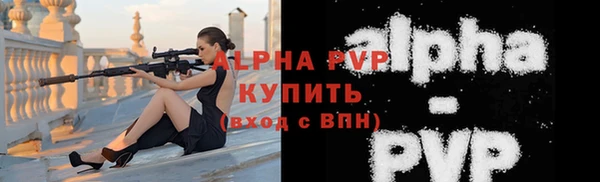 дживик Богданович