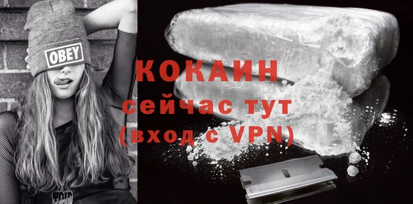 дживик Богданович