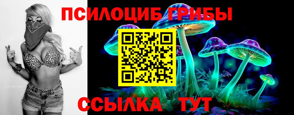 Галлюциногенные грибы Psilocybine cubensis  Вход с VPN  Надым 