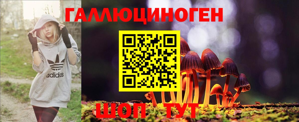 Псилоцибиновые грибы MAGIC MUSHROOMS Надым