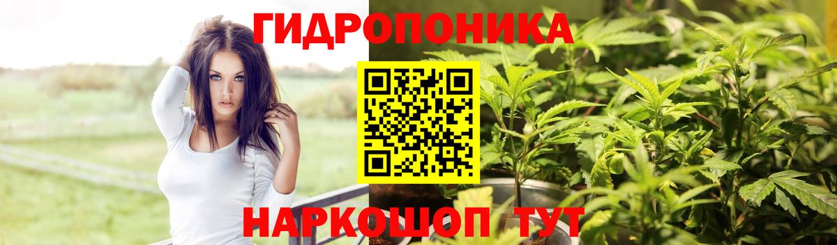 Бошки марихуана марихуана  Шишки марихуана AK-47  Вход с VPN  Надым 